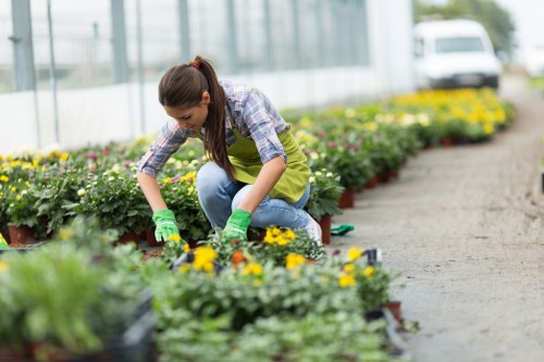 A woman working in a commercial greenhouse within a brightly lit environment, tending to rows of flowering plants in black containers, with transparent glass panels allowing natural light to illuminate the space. She is wearing a yellow apron over casual clothing, and green gardening gloves while carefully inspecting or adjusting the plants. The greenhouse features long, orderly rows of vibrant flowers and lush foliage, with some plants displaying yellow, purple, and white blooms. The background reveals more greenery and gardening tools, emphasizing professional horticultural practices common in UK garden centres or landscaping nurseries. The scene captures a moment of attentive garden care, suited to professional gardening or landscaping service contexts such as those offered in Penge or surrounding London suburbs, aligning with the themes of lawn and garden maintenance covered on landscaperspenge.co.uk.