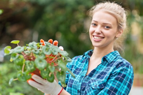 Garden waste and landscaping clearance in a Penge residential property