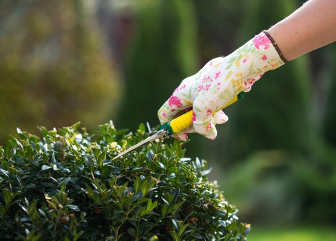 A gardener's gloved hand holding a small gardening tool is trimming a dense, well-maintained hedge in a residential garden. The hedge features small, dark green leaves and borders a lawn area with lush, evenly cut grass. In the background, there are taller trees and shrubs, contributing to a layered outdoor landscape. The garden surface includes a mix of soil and paved pathways, and the overall environment appears to be outdoors on a clear day, with natural light illuminating the scene. The setting exemplifies typical gardening and landscaping efforts to shape and maintain outdoor spaces, aligning with professional services provided by companies like Landscapers Penge in the local area.