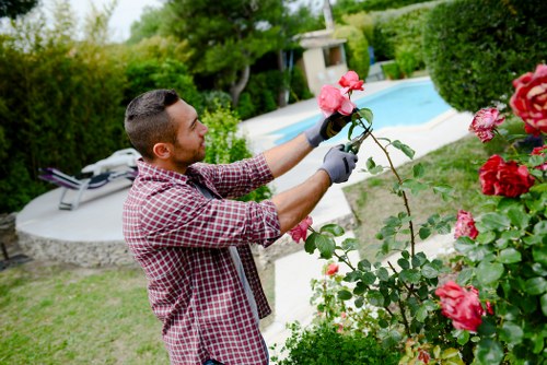 A man with short dark hair, wearing a red and white checkered shirt and grey gardening gloves, is carefully pruning a rose bush with vibrant pink flowers in a landscaped garden. The garden features a neatly maintained lawn with lush, green grass in the foreground, bordered by flower beds and shrubbery. In the background, there is a curved swimming pool with clear blue water, surrounded by paved patio areas and additional greenery, including tall trees and trimmed hedges that provide privacy and shade. The scene is set under bright, natural daylight, suggesting a pleasant outdoor environment typical of gardens in Penge. The man appears focused on his task, contributing to the upkeep and aesthetics of the outdoor space, which may be part of a gardening or landscaping service offered by Landscapers Penge. This well-designed garden incorporates various plant types, clean paving, and maintained lawn areas, demonstrating careful landscaping suited to residential outdoor spaces in the local area.