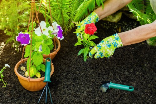 Weed control in a Penge garden