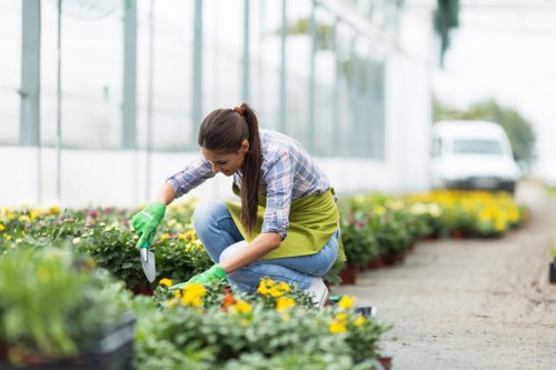 A woman wearing a plaid shirt, blue jeans, and green gardening gloves is kneeling beside a flower bed in an outdoor garden, tending to yellow and purple blooms. The garden features neatly arranged flower beds with vibrant, healthy plants, bordered by gravel pathways. In the background, there are tall glass windows indicating a greenhouse or garden centre setting, and a white vehicle is parked nearby. The surrounding environment appears well-maintained with a mix of natural soil and gravel surfaces, and soft daylight suggests it is a mild weather day. This scene showcases professional gardening activities typical of outdoor landscaping and planting services that include flower bed preparation and maintenance around Penge or nearby areas, relevant to companies like Landscapers Penge.
