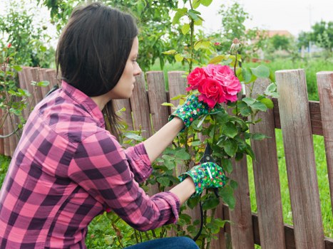 Seasonal lawn maintenance in Penge