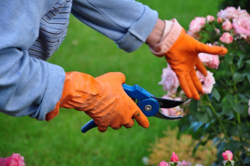 A close-up view of a gardener's hands wearing bright orange protective gloves, carefully trimming a flowering shrub with small pruning shears. The background features a well-maintained garden with a vibrant green lawn, colorful pink and white blossoms on the shrub, and other garden plants. The scene is set outdoors on a clear day with natural lighting, highlighting the detailed textures of the leaves, flowers, and pruning tools. This setting reflects professional gardening services typical of properties in Penge, showcasing landscape maintenance and shrub pruning aimed at enhancing outdoor spaces in the local area.