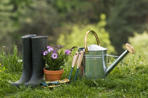 Eco-friendly lawn mowing practices