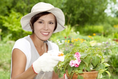 Professional trimming services for hedges
