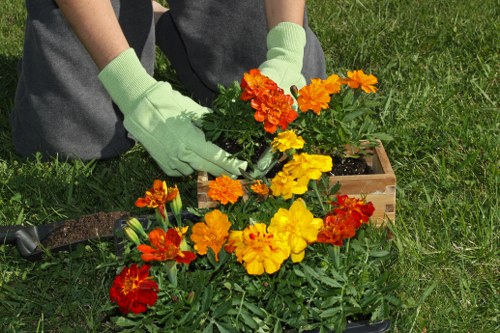 A gardener wearing light green gloves is planting vibrant orange, yellow, and red flowering plants into a small wooden planter box placed on a well-maintained green lawn, with a few garden tools nearby. The garden area features lush grass, and the background suggests an outdoor space in Penge, London, with natural daylight highlighting the fresh, healthy appearance of the emerging plants. The scene illustrates careful planting and garden maintenance typical of professional landscaping services, with a focus on enhancing outdoor garden aesthetics and plant health, consistent with the gardening services offered by Landscapers Penge.