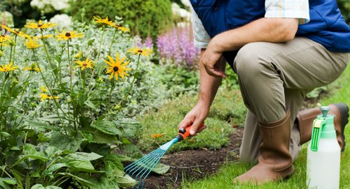 Healthy green grass being cut