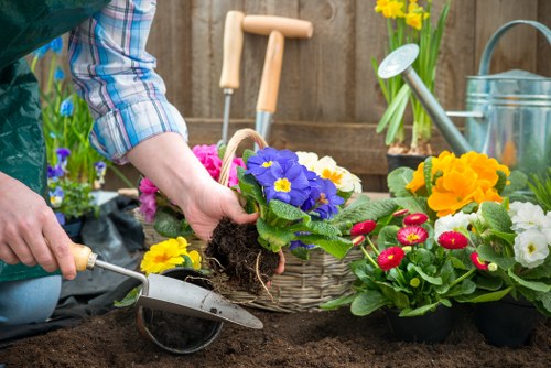 In a garden setting typical of Penge, a gardener's hand is seen planting a vibrant purple primrose into dark, moist soil within a prepared flower bed. Surrounding the planting area are various potted flowering plants, including bright yellow primroses and red and pink bedding plants, arranged on the garden surface. The background features a wooden garden fence with gardening tools such as a watering can and a few yellow daffodils in a pot, indicating ongoing outdoor gardening activities. The scene is set outdoors under natural daylight, with lush soil, healthy plants, and a well-organized flower bed that enhances the landscape. The gardener's casual attire, including a plaid shirt, supports an informal, hands-on approach to garden maintenance typical of local garden care services, like those offered by Landscapers Penge. The overall environment highlights the preparation and planting process in a meandering rear garden, emphasizing planting and landscaping elements associated with professional garden and lawn care in the southeast London area.