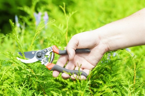 Garden pest management strategies