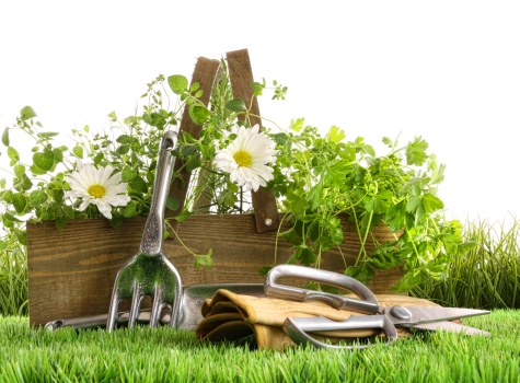 A close-up view of a well-maintained garden area in Penge, featuring a neatly kept grassy lawn in the foreground with lush, dense green grass. Behind the grass, there are several garden tools including a garden fork, a trowel, and pruning shears, all resting on the ground alongside a pair of gardening gloves. In the background, a wooden planter box filled with a variety of green foliage and flowering plants, including white daisies, is visible. The garden appears to be outdoors with natural lighting under partly cloudy skies, reflecting a calm and inviting outdoor space suitable for gardening and landscaping activities, which is relevant to services offered by Landscapers Penge in the local area.