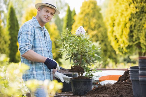 A man wearing a light straw hat, blue checkered shirt, and gardening gloves is working in a garden during daytime. He is planting or repotting a flowering shrub with white and purple blooms into a large black plastic pot filled with soil. The garden features a neatly maintained lawn with lush green grass in the foreground, bordered by flower beds and potted plants. In the background, there are tall, leafy green trees providing shade and a natural backdrop, with bright sunlight illuminating the scene. The workspace includes gardening tools and containers for plant care, and the environment appears well-maintained and organized. This outdoor garden environment demonstrates professional landscaping and gardening practices, typical of services offered by companies like landscaperspenge.co.uk in the Penge area. The scene emphasizes outdoor horticultural activities suitable for enhancing residential gardens in the local region.