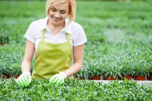 A young woman with blonde hair, wearing a white shirt, a light green apron, and gardening gloves, is tending to a lush green garden bed filled with small, healthy plants. She is smiling as she carefully inspects or tends to the plants, which are arranged in neat, closely spaced rows. The garden is situated outdoors in a well-maintained, landscaped yard with vibrant green grass surrounding the garden beds. In the background, other garden beds and plants are visible, indicating a large, cultivated outdoor space typical of residential landscaping in Penge, London. The weather appears bright and clear, with natural light illuminating the scene, emphasizing the healthy foliage and organized garden layout that reflects professional gardening services often provided by landscapers in the area. The scene conveys a sense of careful cultivation and outdoor maintenance, suitable for a gardening service website focused on lawn care and plant health management in the region.