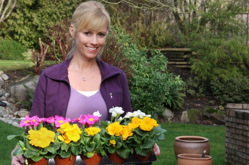A woman with blonde hair, dressed in a purple jacket and white top, is standing outdoors in a landscaped garden. She is smiling and holding a black tray with four small pots of brightly coloured flowering plants, including pink, white, yellow, and orange blooms. Behind her, there is a neatly maintained lawn with lush green grass, a variety of shrubs and bushes, and mature trees providing a natural backdrop. To her right, there are two empty terracotta plant pots placed on the grass. The garden features a stone pathway or border, and a set of wooden stairs leads up to a higher area with more greenery and foliage. The scene is lit with natural daylight, indicating a clear or partly cloudy day, and the overall environment suggests a well-kept outdoor space suitable for gardening and landscaping services in Penge.