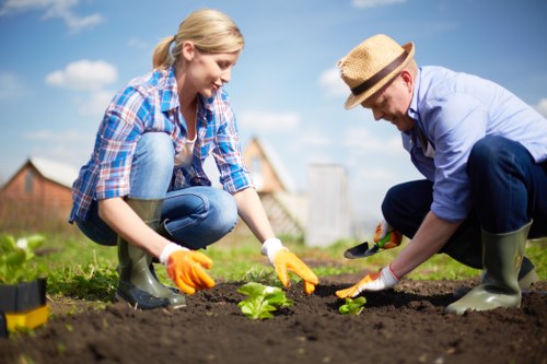 A woman and a man are working together in a garden, planting young green plants in freshly turned soil. They are both wearing casual clothing suitable for gardening, including rubber boots and gloves; the woman has a checkered shirt and the man a light blue shirt with a straw hat. The garden features a lush, green lawn with a neatly edged flower bed, and in the background, there are residential buildings and a bright, partly cloudy sky. The scene captures outdoor gardening activity typical of a backyard or landscaped garden in Penge, with natural light highlighting the healthy, vibrant foliage and well-maintained soil. The overall environment emphasizes community gardening or personal landscaping efforts, aligning with gardening services that focus on planting, lawn care, and garden maintenance in the local area.