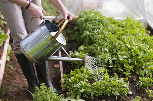 The image depicts a person watering a vegetable garden with a metal watering can, pouring water onto lush, green leafy plants arranged in well-maintained rows. The garden is situated in an outdoor space, possibly a back garden or yard in Penge, with rich soil visible around the plants. The plants appear healthy and vigorous, with a variety of leafy greens that could include lettuce or similar vegetables. In the background, there is a transparent greenhouse or polytunnel structure, allowing natural light to illuminate the garden area. The ground consists of dark, moist soil, with some patches of grass or smaller plants nearby. The person watering is wearing casual gardening attire, including rubber boots, and is standing on the soil, tending to the plants. The overall scene suggests careful horticultural maintenance, fitting within a residential or neighbourhood garden setting in south London, highlighting typical gardening activities supported by professional landscapers or garden maintenance services such as Landscapers Penge.