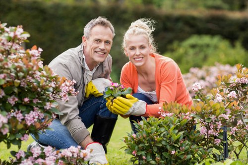 Expert gardeners trimming hedges